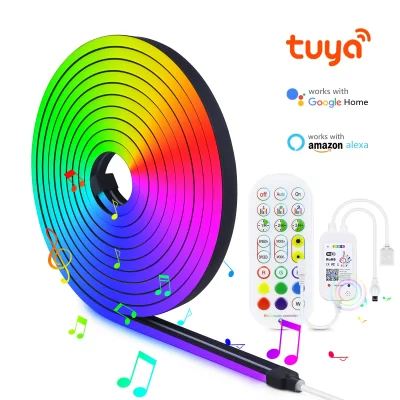 Néon Led Couleur