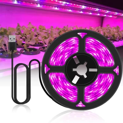 Lampe Led Croissance