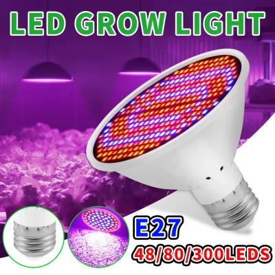 Lampe Led Croissance