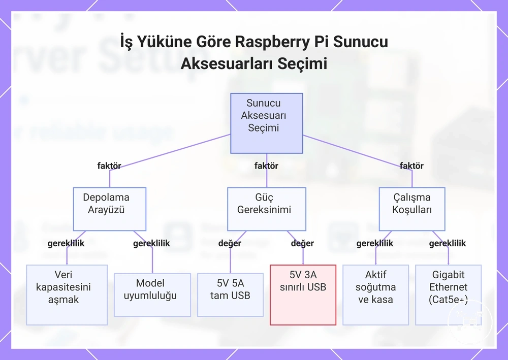İş Yüküne Göre Raspberry Pi Sunucu Aksesuarları Seçimi