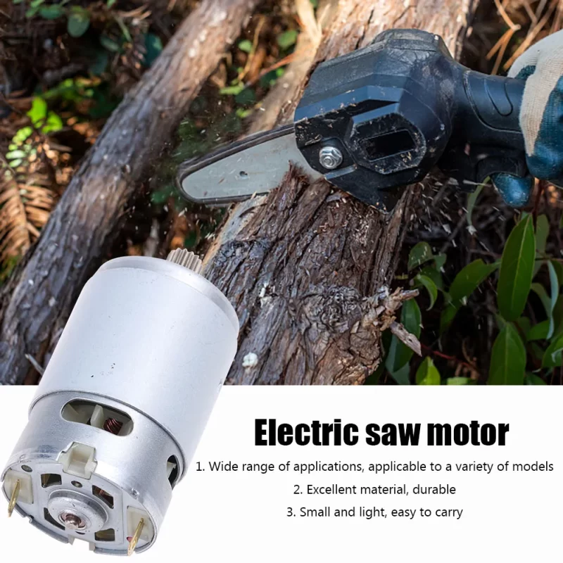 Moteur Electrique Temo