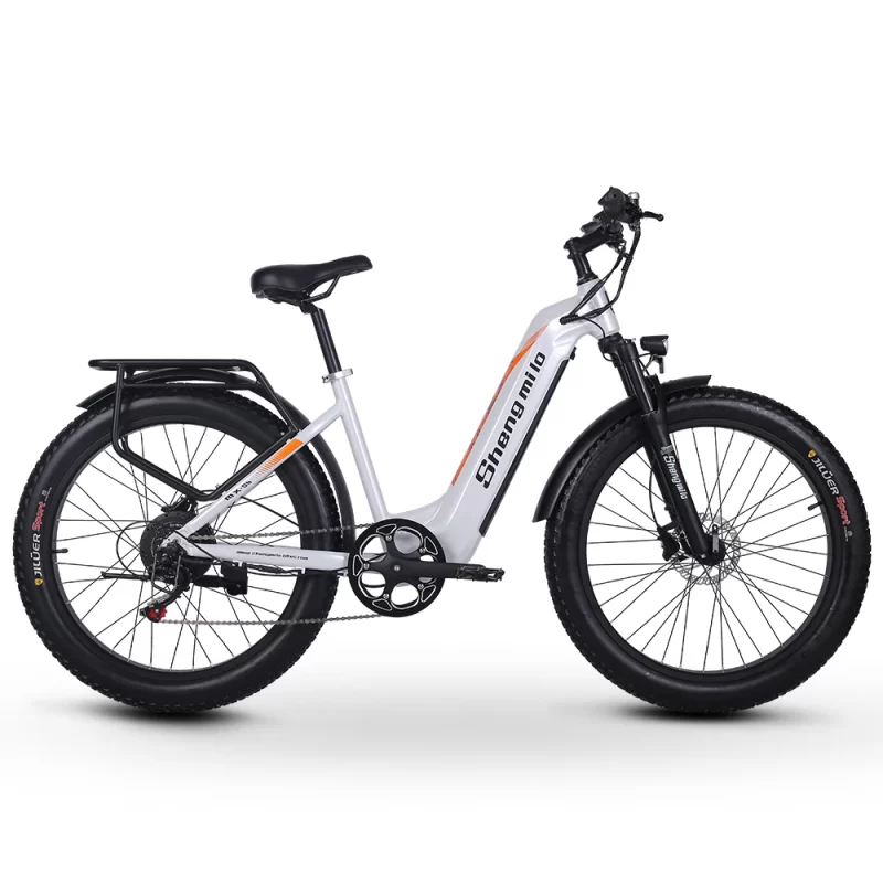 Moteur Velo Electrique 1000W