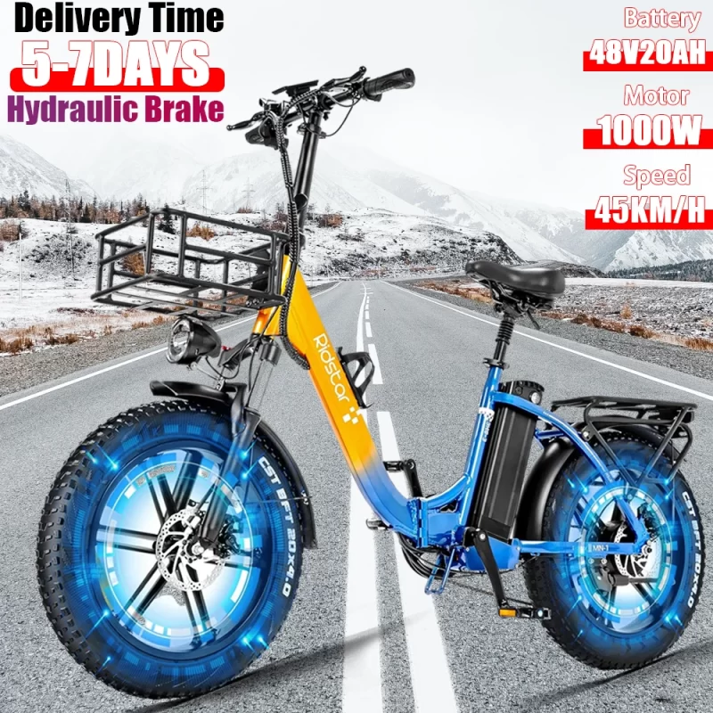 Velo Electrique Double Moteur