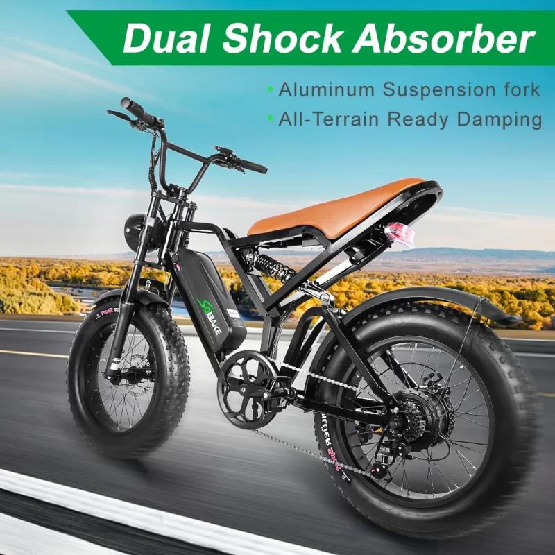 Velo Electrique Double Moteur