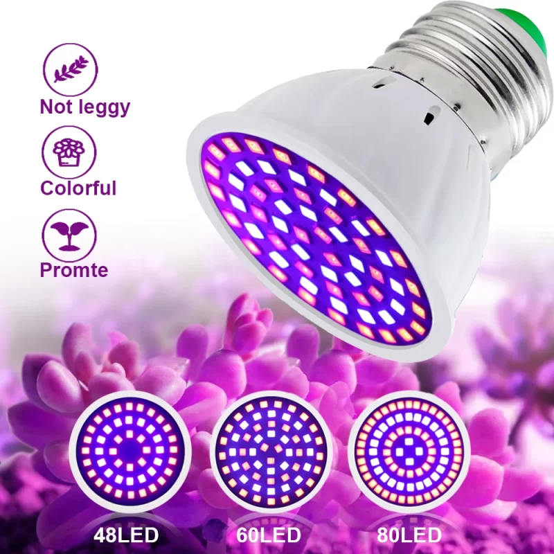 Led Agricole