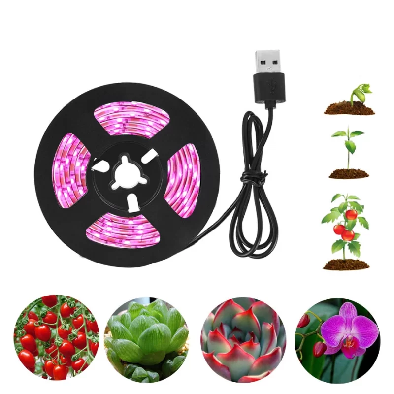 Led Agricole