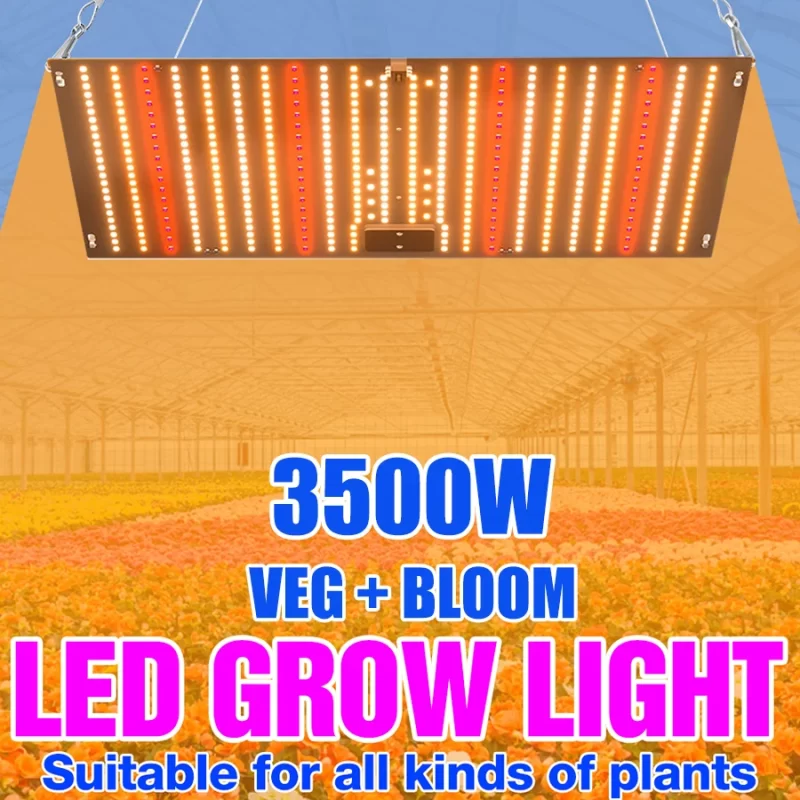 Led 600W