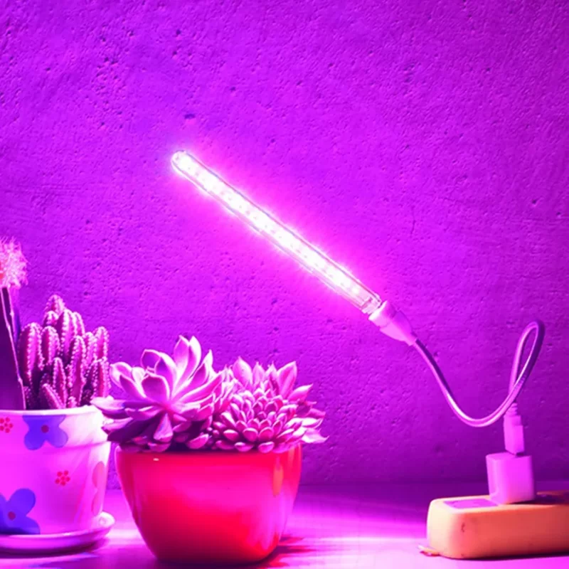 Lampe Plante Led