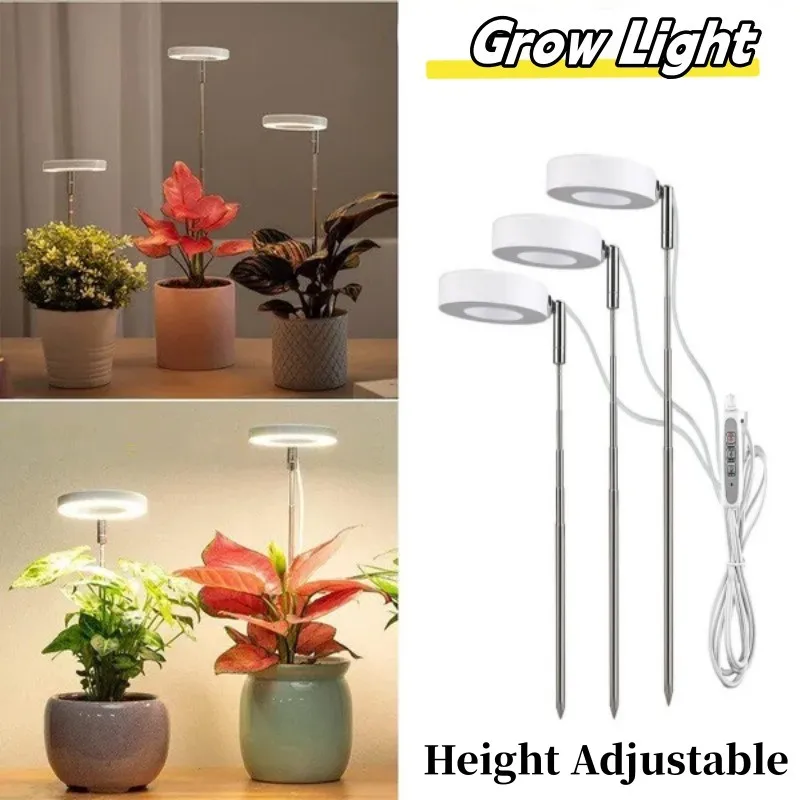 Led Agricole