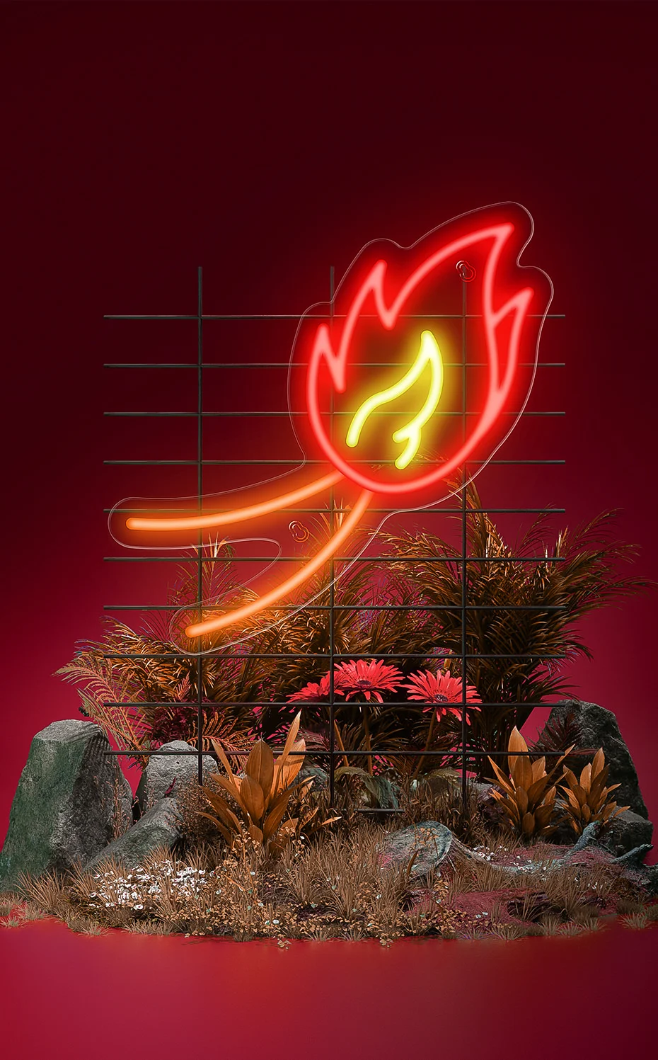 Image 6