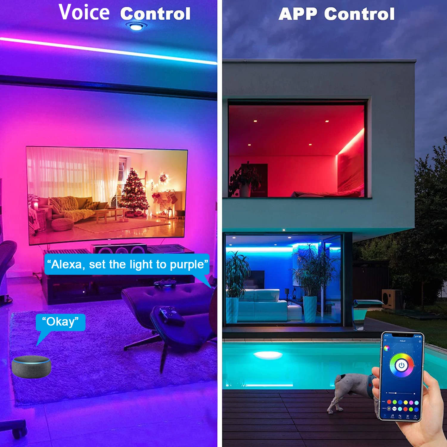 Bande lumineuse wifi LED