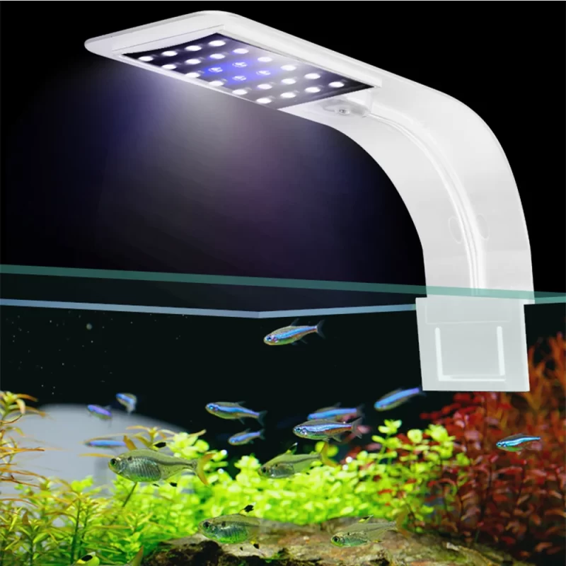 Quel Éclairage Led Pour Aquarium Planté