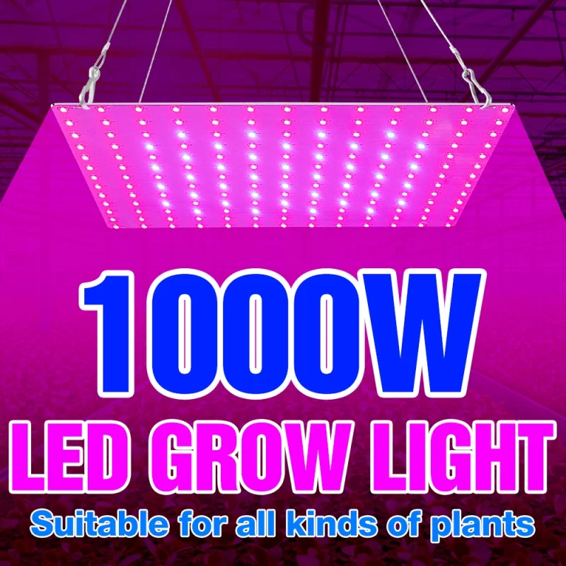 Led 600W