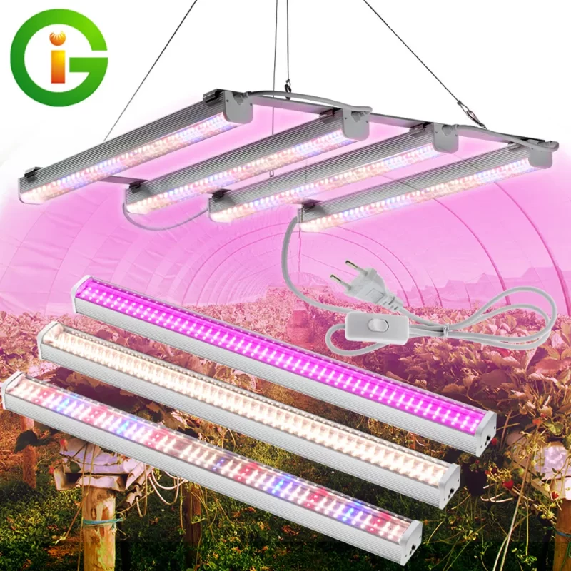 Led 600W