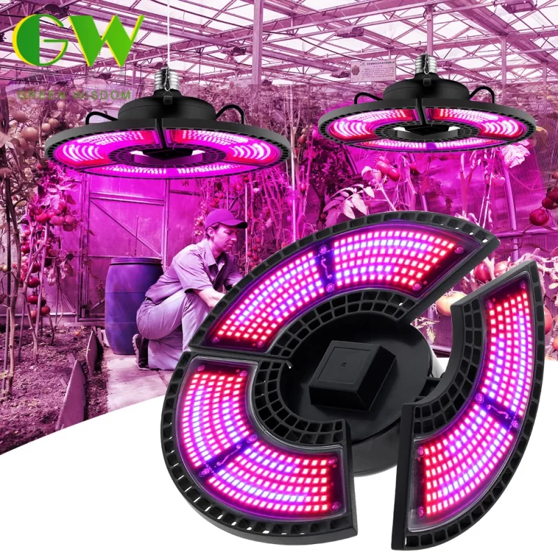 Led 600W