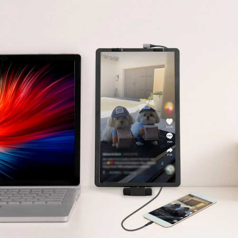 Écran de moniteur portable