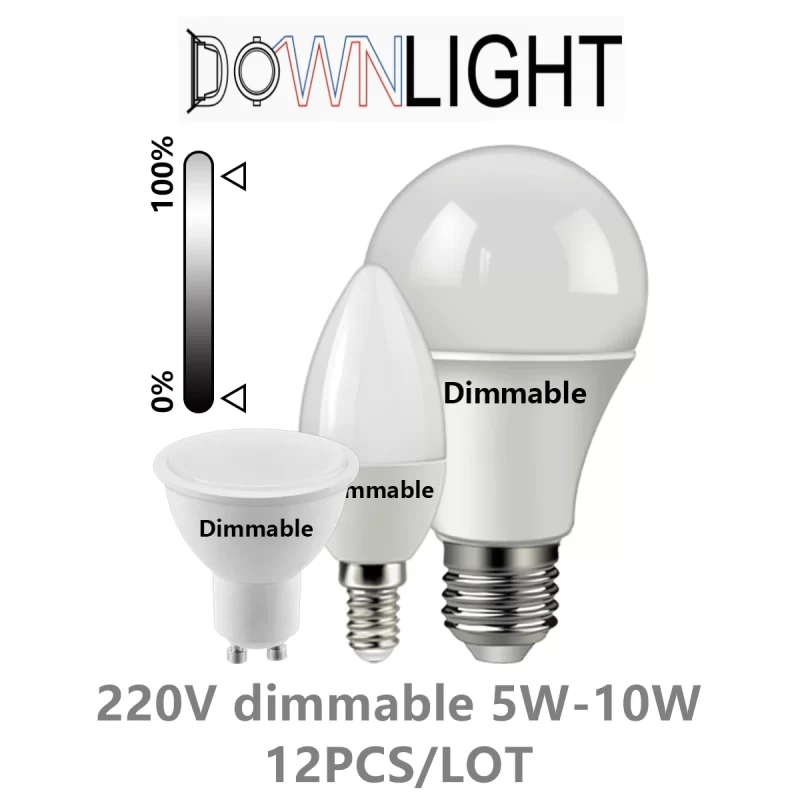 Variateur Led Dimmable 220V