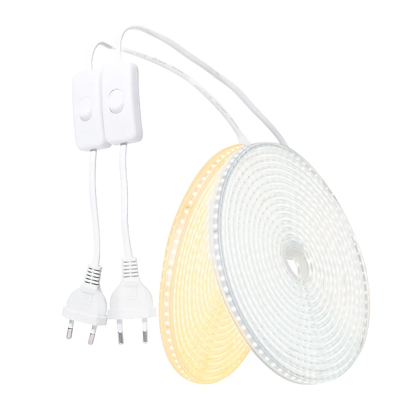 Néon Led Flexible 220V Rgb