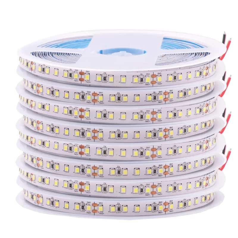 Néon Led Couleur