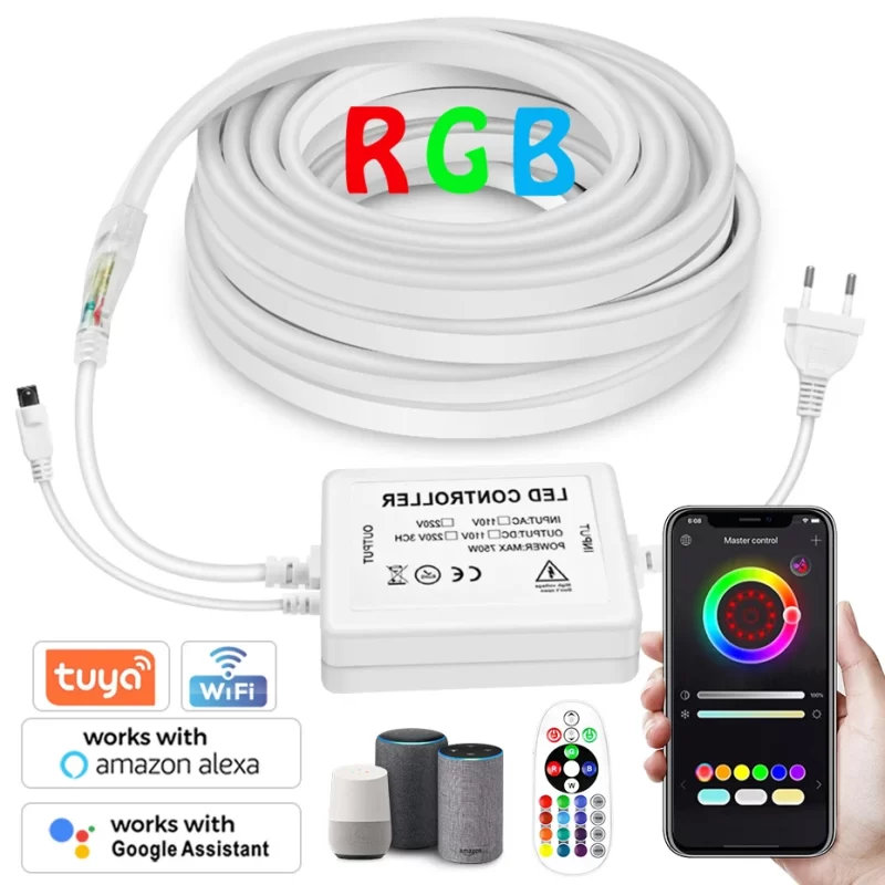 Néon Led Flexible 220V Rgb