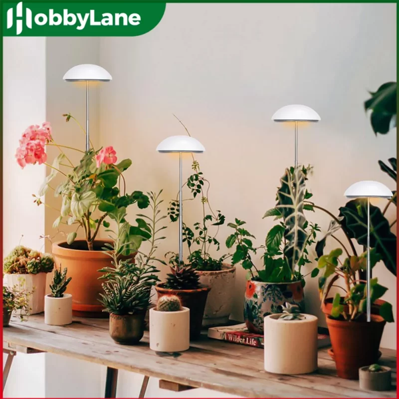 Lampe Led Croissance