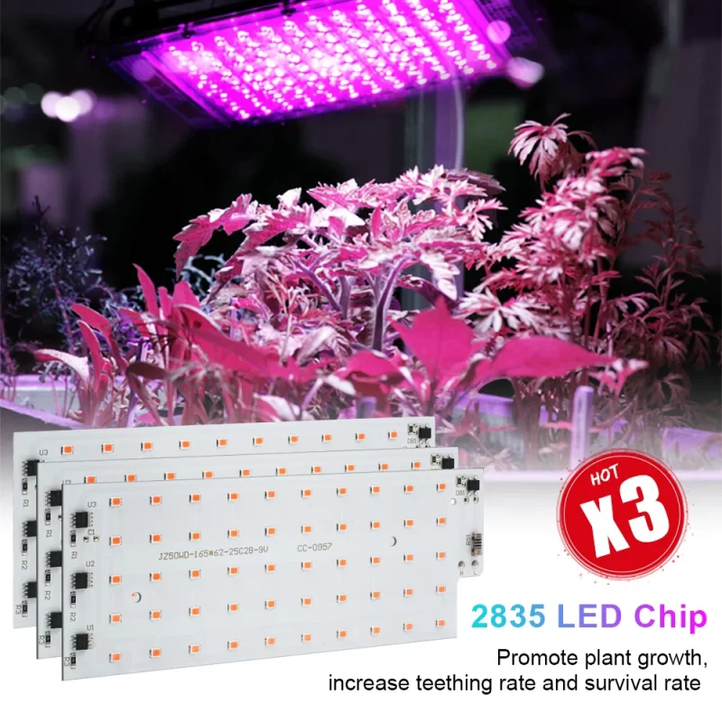 Lampe Led Croissance