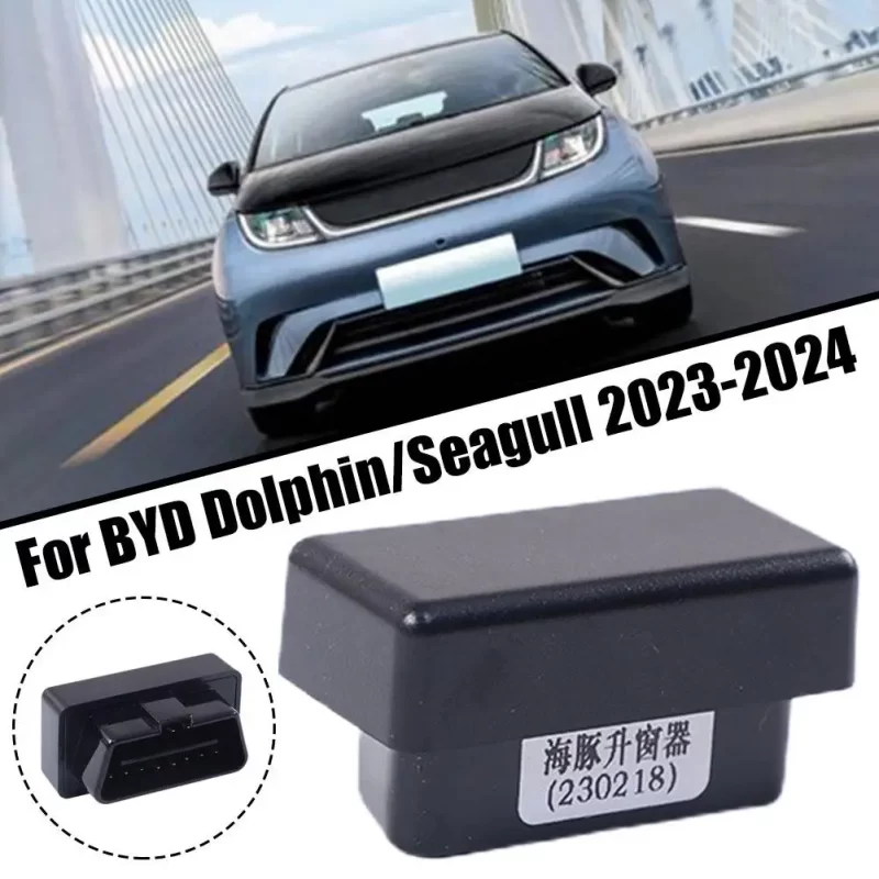 Robot Dolphin Diagnostic