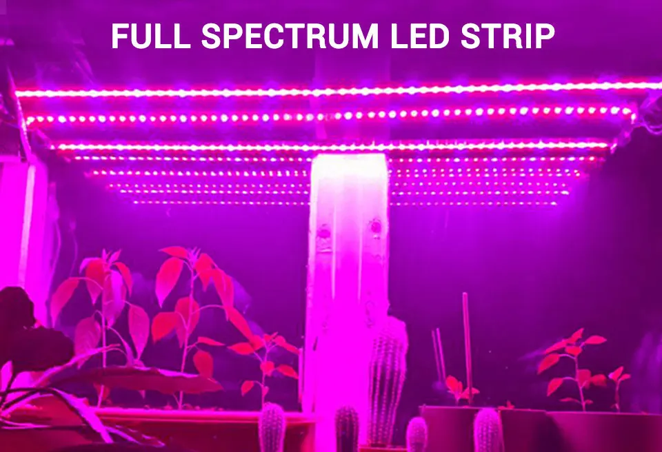 Bande Lumineuse LED pour la Croissance des Plantes